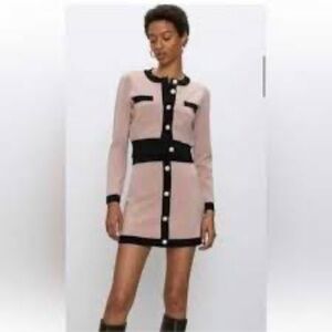 Aritzia Pink and Black Button-Up Mini Dress